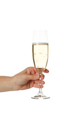 Female hand hold glass of champagne, isolated on white background