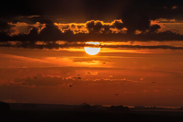 sunset with clouds and birds