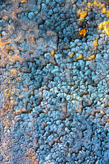Rusty texture. Grunge background. Dry ground and old metal.