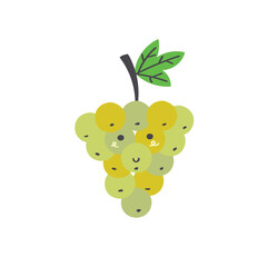 Cute green grapes. Vector isolated in hand drawn fruit
