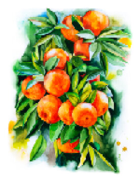 Oranges with leaves, vector mosaic of original watercolor painting. Mandarin, tangerine, bright print for fabric, wall decoration or creative design.
