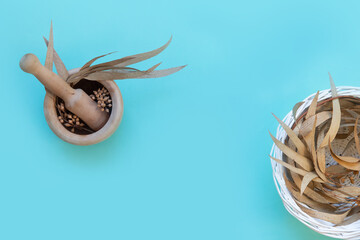 Eucalyptus leaves on light background with empty space.