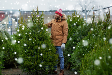 winter holidays, sale and people concept - happy smiling man choosing or selling christmas tree at street market over snow