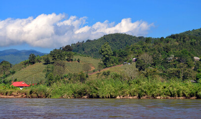 Chiang Rai, Thailand - Farm by the Mae Kok River