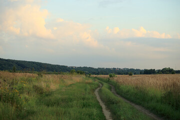 Obraz premium summer andscape