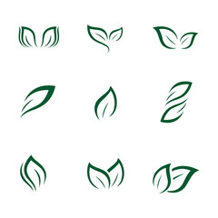 Fototapeta na wymiar Green Leaf , Nature Logo design vector template