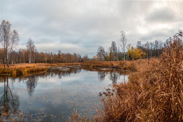 Swamp in the North in autumn.