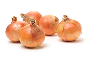 Gold onion vegetable bulbs on white background