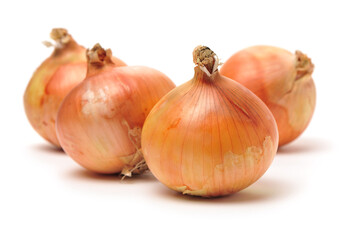 Fototapeta premium Gold onion vegetable bulbs on white background