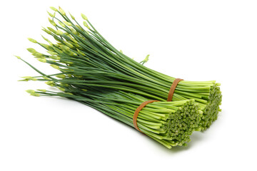 a bunch of flowering chinese garlic chives on the white background