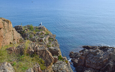 Fototapeta na wymiar Mar Mediterráneo en SʻAgaró Costa Brava Catalonia España 