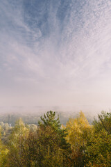 Beautiful vertical autumn landscape of foggy colorful bright trees and blue sky