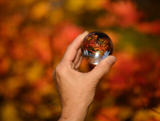 Hand held lensball in autumn forest. Selective focus with shallow depth of field.