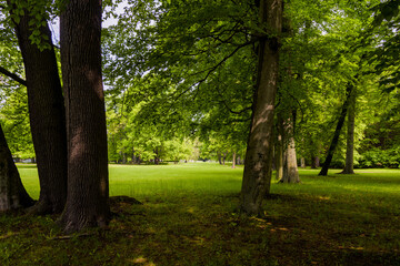 Landscape of forest in Gotha city, Germany.