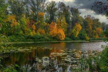 The lake is surrounded by beautiful autumn trees.