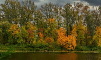 The lake is surrounded by beautiful autumn trees.