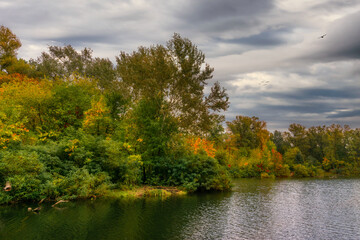 The lake is surrounded by beautiful autumn trees.