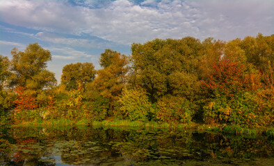 The lake is surrounded by beautiful autumn trees.