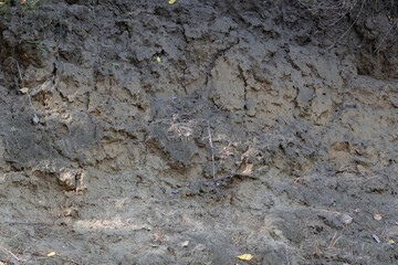 texture of the cliff land of the steep sandy coast