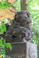 Obraz premium 熊野神社 狛犬