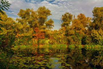 The lake is surrounded by beautiful autumn trees.
