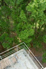 Fototapeta na wymiar Aerial shot of lake view and tree