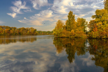 Obraz premium The lake is surrounded by beautiful autumn trees.