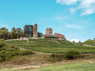 Fototapeta na wymiar Blick auf Burg Neipperg, Heilbronner Land, Baden-Württemberg
