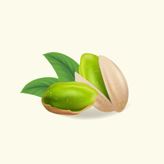 Pistachio nuts with leaves. Vector illustration realistic pistachio kernels