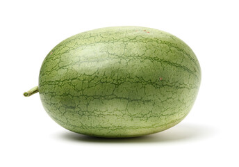 watermelon on a white background