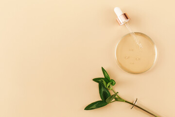 Petri dish with serum and oil on beige background. Natural medicine, cosmetic research, bio science, organic skin care products. Flat lay, top view, copy space.