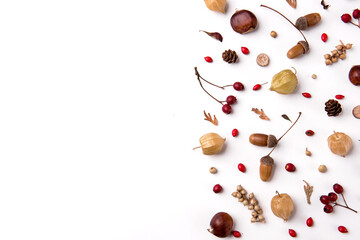 Beautiful autumn composition with dried leaves nuts and berries on white background