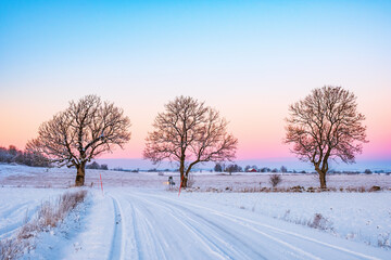Obraz premium Trees at a snowy winter road in the sunset