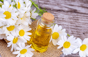 Essential oil in glass bottle with fresh chamomile flowers, beauty treatment.