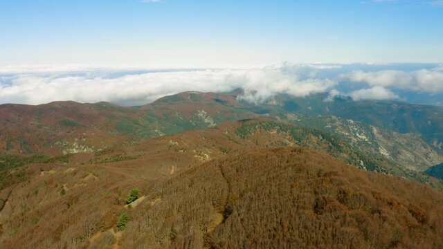 Vista aerea montagna della Sila. Calabria, Italia