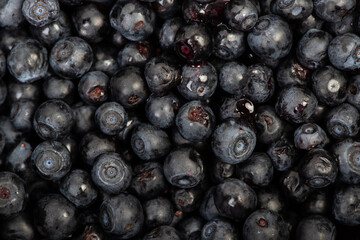 Fresh dark blueberry