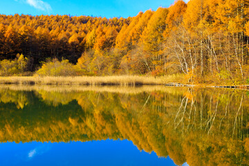 autumn landscape with lake