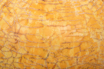 Yellow melon skin