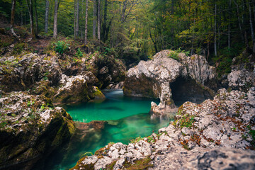Elephant shaped rock in Mostnica Gorge in Slovenia
