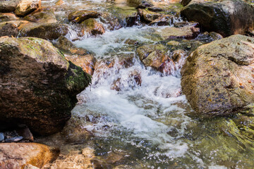 Naklejka na ściany i meble Beautiful Forest Landscape, Stream Flowing Water, Mountain Creek, Summer Day In Nature
