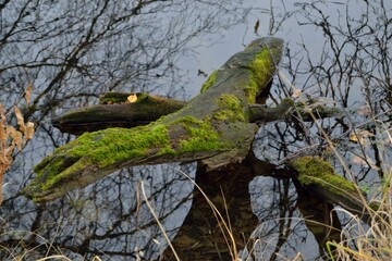 Autumn fishing on the lake, reflection in the water.