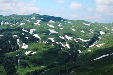 Fototapeta na wymiar Green mountains and hills with snow. Caucasian reserve