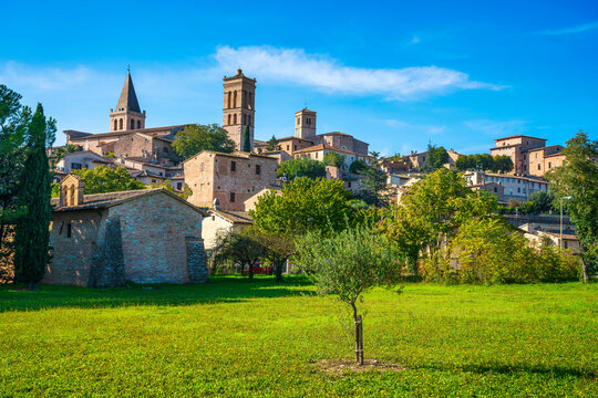 Spello medieval village and olive tree. Perugia, Umbria, Italy.