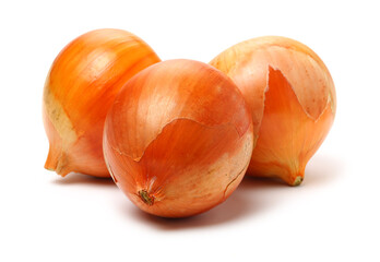 Gold onion vegetable bulbs on white background