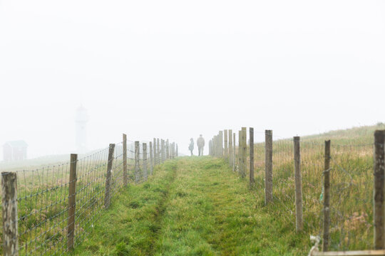Couple in the fog