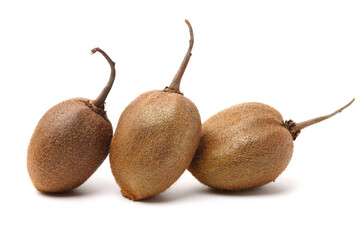 kiwi fruit on white background