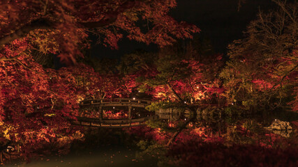京都府 永観堂 紅葉 ライトアップ