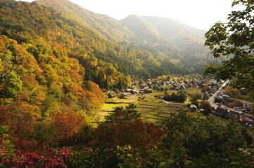 Shirakawago in Japan, beautiful autumn colours　紅葉の白川郷