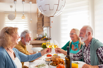 Elderly people making a toast while having Thanksgiving dinner