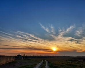 sunset over the field